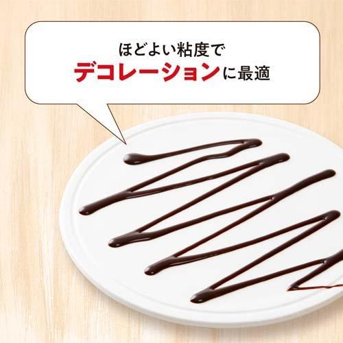 バンホーテン チョコレートシロップ 業務用 ( 630g*2個セット