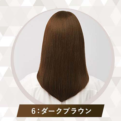 CIELO（hoyu） シエロ ヘアカラー EX クリーム 6 ダークブラウン ( 3箱