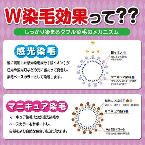 カミクローネ(DB) 自然な黒褐色 ( 80ml*6箱セット )/ カミクローネ