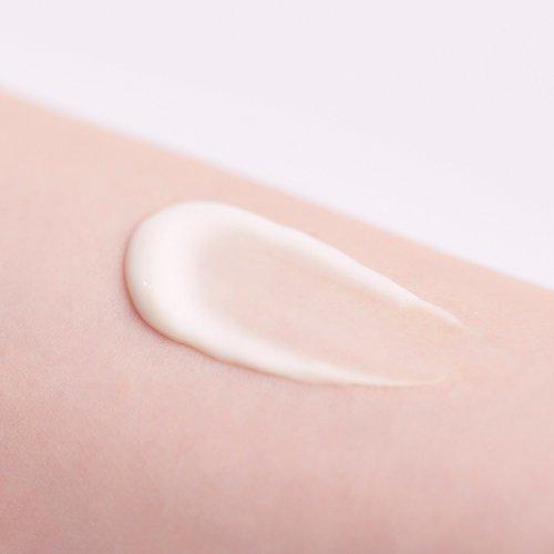 ちふれ エッセンシャルクリームN 詰替用 ( 30g*6袋セット )/ : 爽快