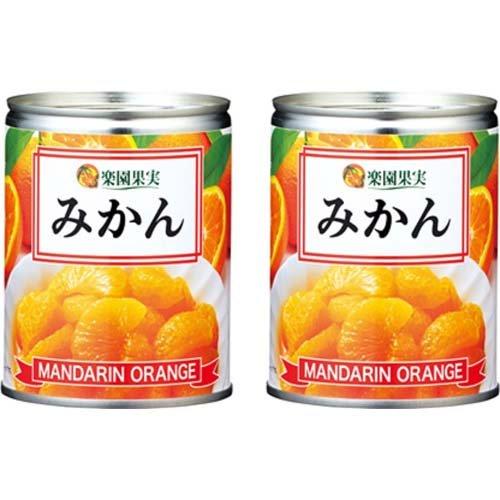 楽園果実 みかん EO M3号缶 ( 350g*2缶セット )/ 缶詰 フルーツ