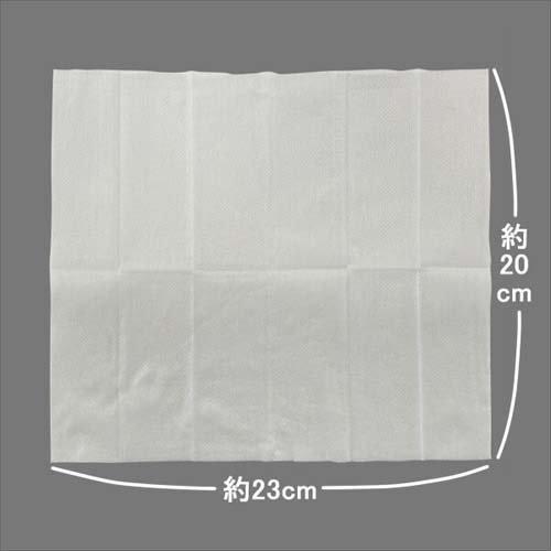 Clesh(クレシュ) MEN フェイス＆ボディシート(40枚入*40袋セット)[男性用 あぶら取り紙・フェイスシート] Clesh(クレシュ) MEN フェイス＆ボディシート ( 40枚入*3袋セット