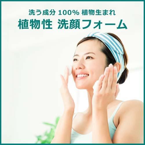 ナイーブ 洗顔フォーム お茶の葉エキス配合 ( 130g*3本セット