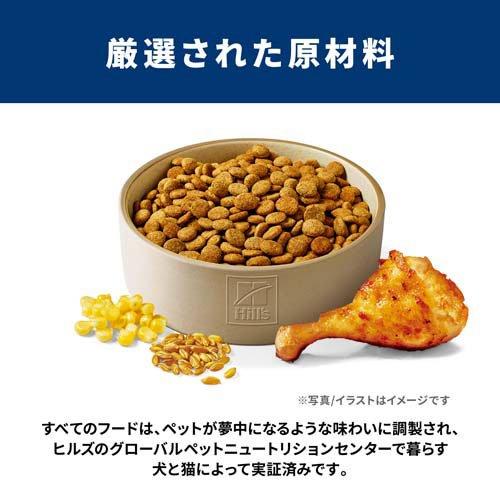 サイエンスダイエット アダルトライト 中粒 1歳以上 チキン 6.5kg 成犬