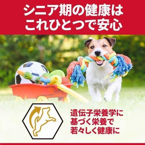 最大95 オフ サイエンス ダイエット プロ小型犬 シニアトータルケア超小粒 7歳以上 1 5kg サイエンスダイエット Wantannas Go Id