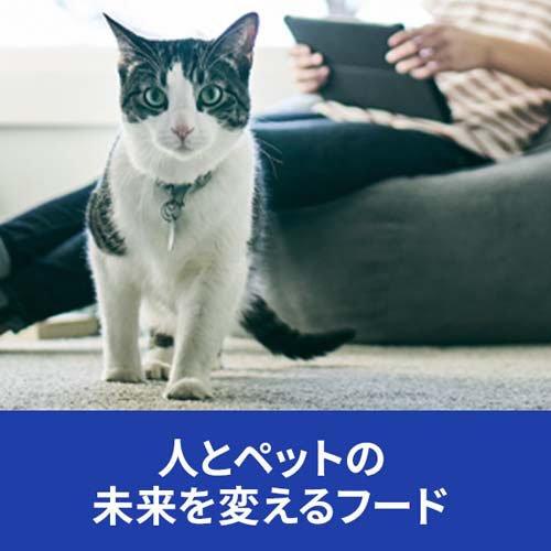 腸内バイオームコンフォート チキン 繊維/消化ケア 猫用 特別療法食