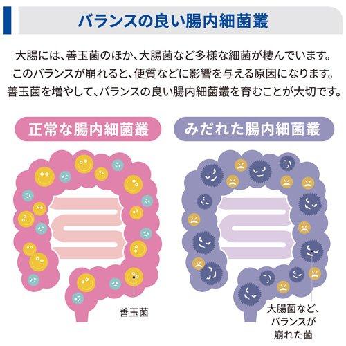 腸内バイオーム 小粒 チキン 繊維/消化ケア 犬用 特別療法食