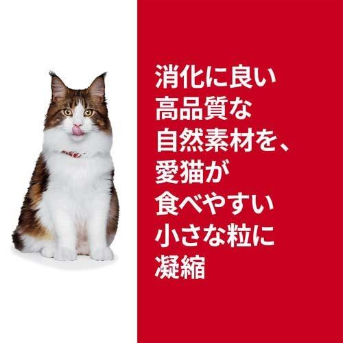 キャットフード 腸の健康サポートプラス 成猫 1歳以上 チキン お試し