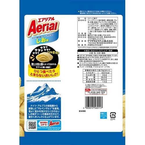 エアリアル しお味 ( 75g*3袋セット )|soukai|02