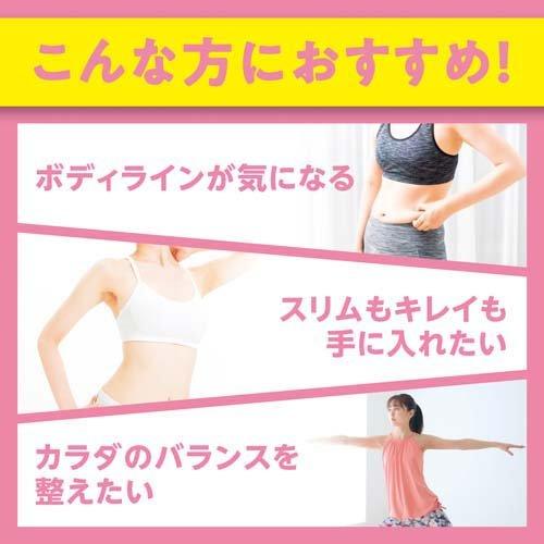 DHC プロティンダイエット 美Body (マンゴー味) ( 300g*3袋セット )/ DHC サプリメント ( プロテインダイエット )｜soukai｜03