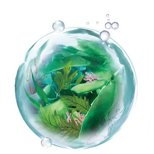 ラサーナ 海藻 ヘア エッセンス しっとり Mサイズ ( 75ml*6個