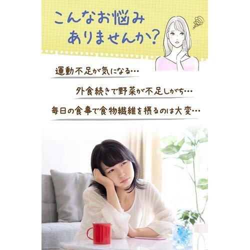 ダイエットサプリメント 5袋セット イージーファイバー ダイエット ( 30パック*5箱セット )/ 食物