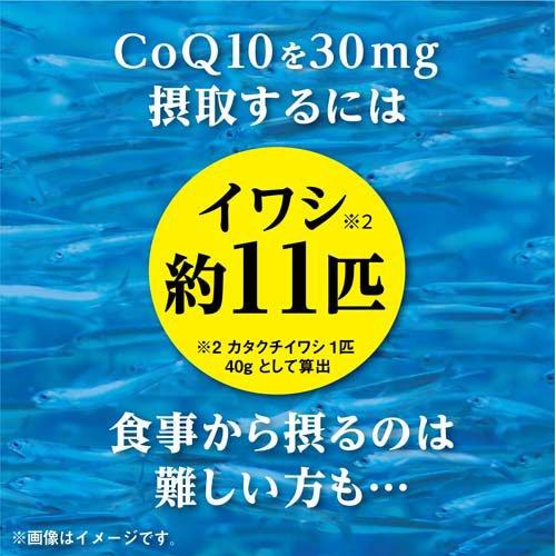 コエンザイムQ10 α-リポ酸L-カルニチン 約30日分 ( 60粒入*5個セット