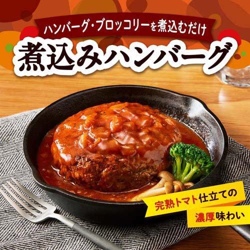 カゴメ 煮込みハンバーグ用ソース ( 250g*30袋セット )/ カゴメ