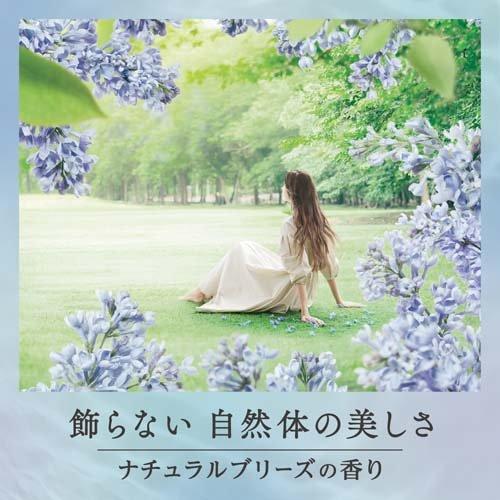 フレア フレグランス IROKA 柔軟剤 ナチュラルブリーズ 詰替 超特大