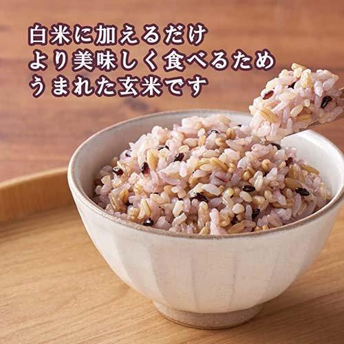 はくばく もっちりぷちっと食感楽しむもち玄米 ( 900g*6袋セット はくばく もっちりぷちっと食感楽しむもち玄米 ( 900g*6袋セット