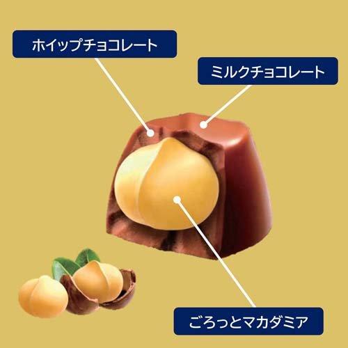 マカダミアチョコレート ( 9粒入*80箱セット )