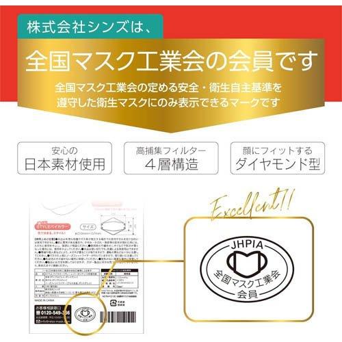 STYLEマスク バイカラー ベージュ*バーガンディ 個包装 ( 5枚入*300袋セット )_2