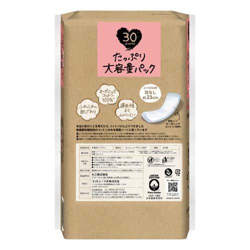 オオイチモンジ モンゴル産10頭セット売り