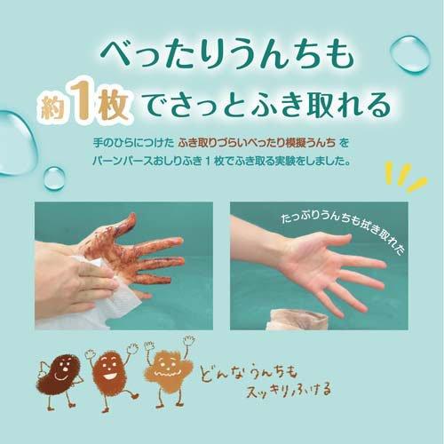 パンパース おしりふき 肌へのいちばん ( 56枚*12個入*2セット
