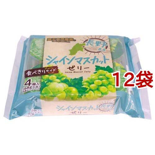 蔵王高原農園 長野県産シャインマスカットゼリー ( 68g*4個入*12 蔵王高原農園 長野県産シャインマスカットゼリー ( 68g*4個入*12