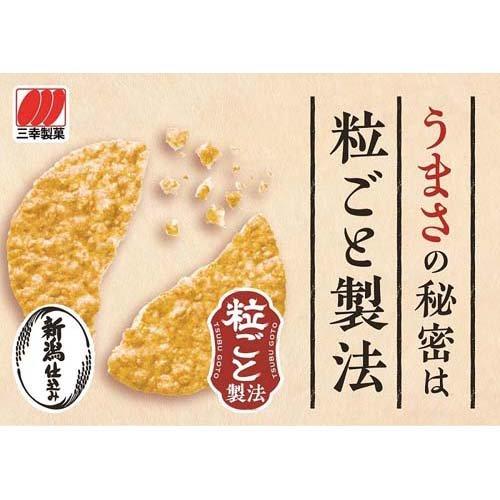 新潟仕込み 塩味 ( 30枚入*2袋セット ) : 爽快ドラッグ - 通販 - Yahoo