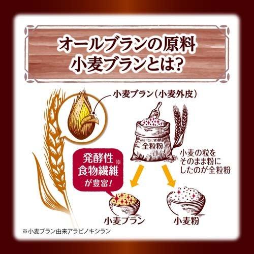 ケロッグ オールブラン ブランリッチ ほっとひといきショコラ ( 220g*6