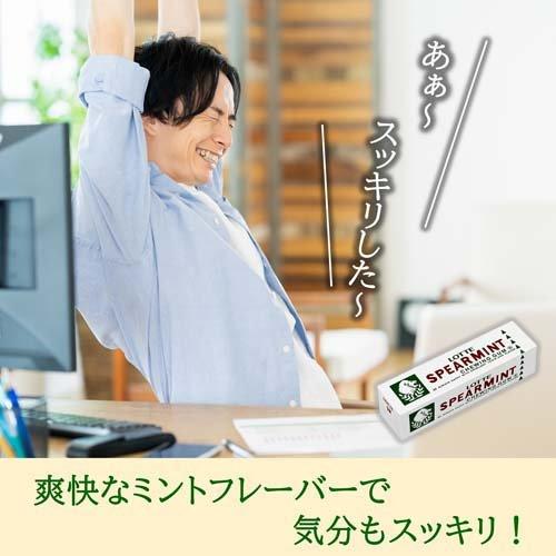 ロッテ スペアミントガム ( 9枚入*300個セット )/ ロッテ ロッテ