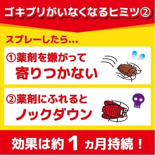 コックローチ ゴキブリがいなくなるスプレー ( 200ml*2本セット コックローチ ゴキブリがいなくなるスプレー ( 200ml*2本セット