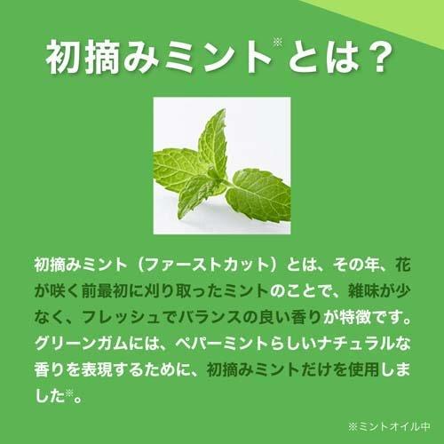 ロッテ グリーンガム 業務用 ( 100枚入*10箱セット ) : 爽快ドラッグ