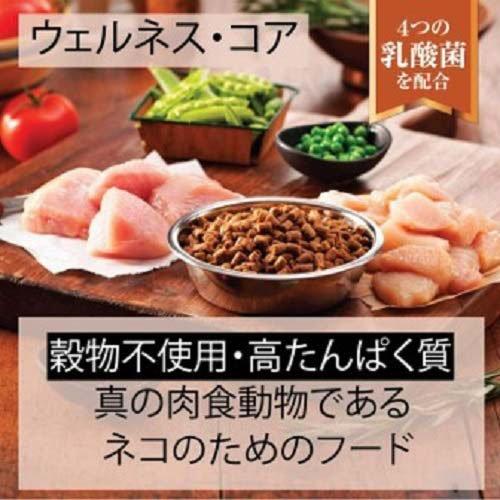 ウェルネス コア 室内猫用 サーモン ( 2.26kg×4セット )/ ウェルネス_1