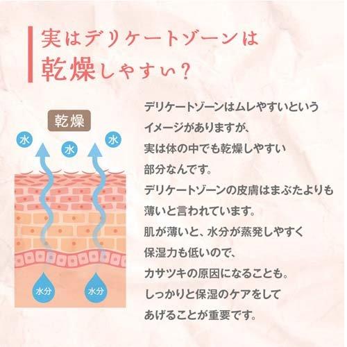 サマーズイブ シアービューティーローション ( 104ml×5セット )/ サマーズイブの画像