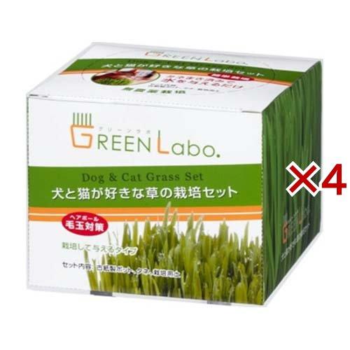 ペットグラス 犬と猫が好きな草 栽培セット ( 4セット ) : 爽快