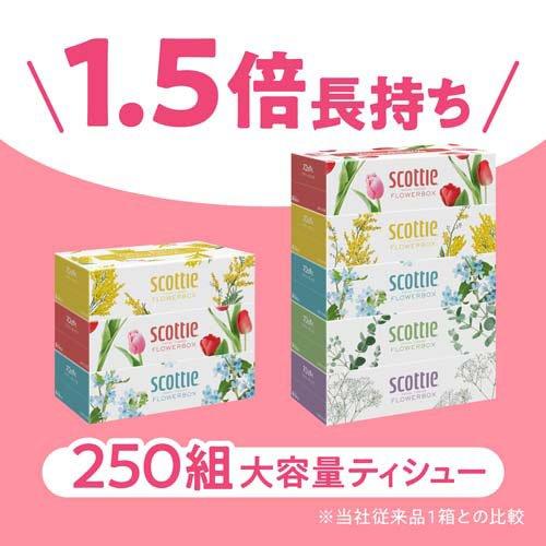 スコッティ ティッシュ フラワーボックス ( 5箱パック×12セット(1箱500