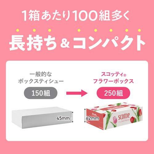 スコッティ ティッシュ フラワーボックス ( 5箱パック×12セット(1箱500