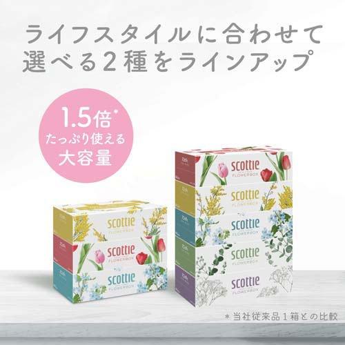 スコッティ ティッシュ フラワーボックス ( 5箱パック×12セット(1箱500
