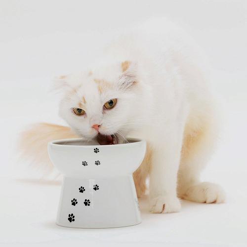 猫壱 ハッピーダイニング 脚付フードボウルL 猫柄 シリコン付き ( 2