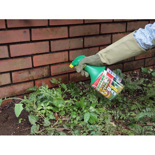 アースガーデン 除草剤 アースカマイラズ 草消滅 スプレー ( 700ml×3