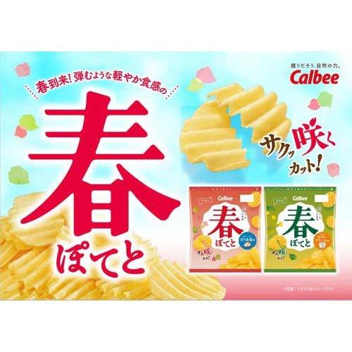 春ぽてと ふんわりサワークリーム味 ( 61g×2セット )｜soukai｜03