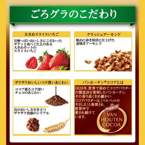 ごろグラチョコいちご バンホーテンブレンド ( 280g×6セット )/ ごろっ