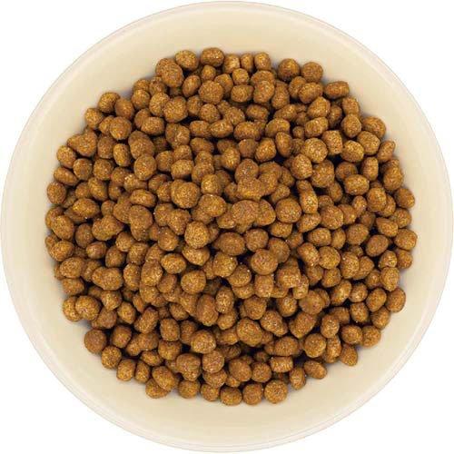 ドギーマン まいにちでるでるごはん 皮膚・被毛とお腹の健康ケア ( 200g×6セット )/ ドギーマン(Doggy Man) |  | 02