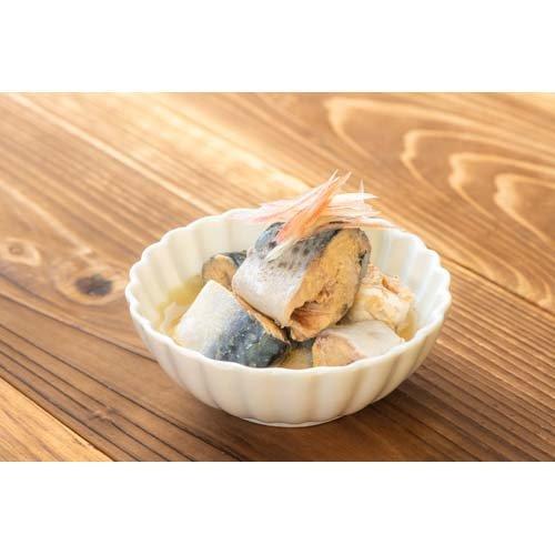 あいこちゃん 青の鯖水煮 食塩不使用 ( 150g×48セット ) : 爽快