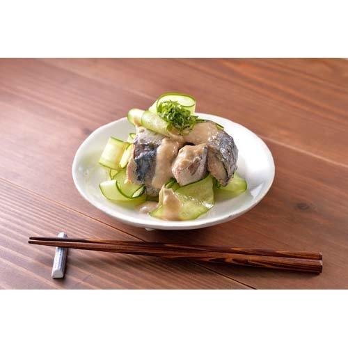 あいこちゃん 青の鯖水煮 食塩不使用 ( 150g×48セット ) : 爽快