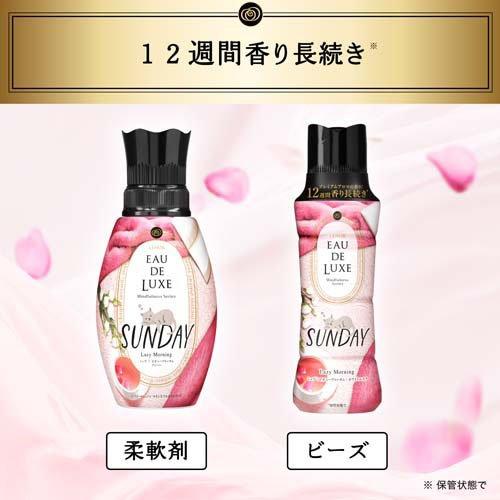 レノア オードリュクス 香り付け専用ビーズ マインドフルネス レノア オードリュクス 香り付け専用ビーズ マインドフルネス