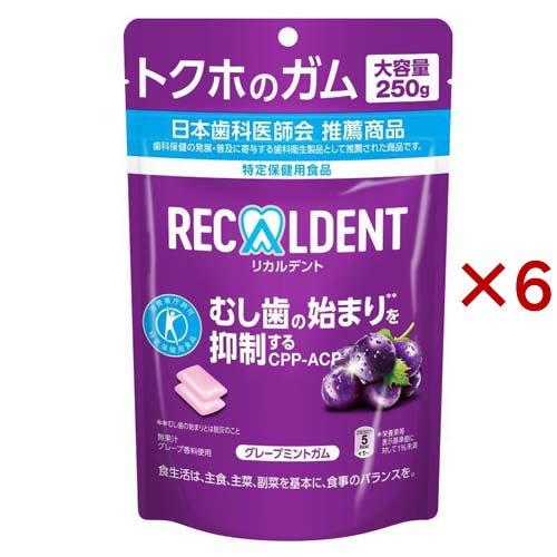 リカルデント グレープミントガム スタンドパウチ(250g×6セット)[ガム] リカルデント グレープミントガム スタンドパウチ ( 250g×6セット