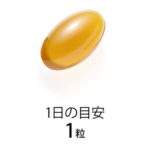ファンケル ビタミンE ( 30粒入×6セット )/ ファンケル｜soukai｜02