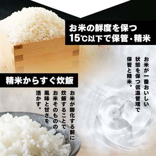 低温製法米のおいしいごはん ( 8袋セット×2セット(1食120g) ) パック