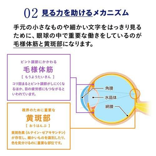 ファンケル えんきん ( 30粒入×9セット )/ : 爽快ドラッグ - 通販