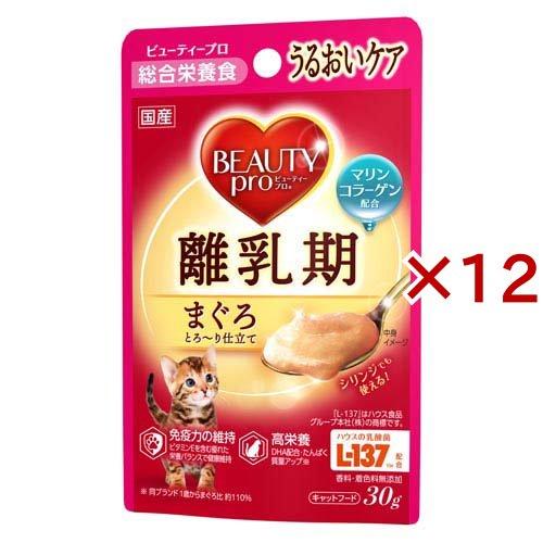 訳あり！ビューティープロ 離乳期 総合栄養食 パウチ 280袋+カリカリ16袋 ビューティープロ キャット パウチ 離乳期 ( 30g×12セット