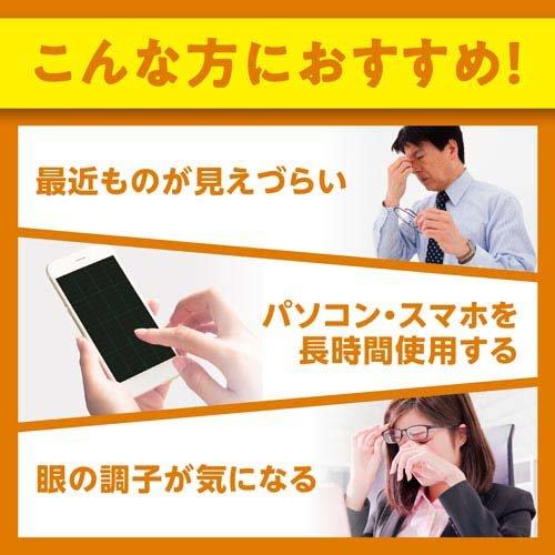 DHC ルテイン光対策 60日分 持続型ビタミンBミックス 7日分付き ( 60粒